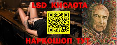 jwh Бийск