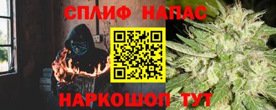 jwh Бийск
