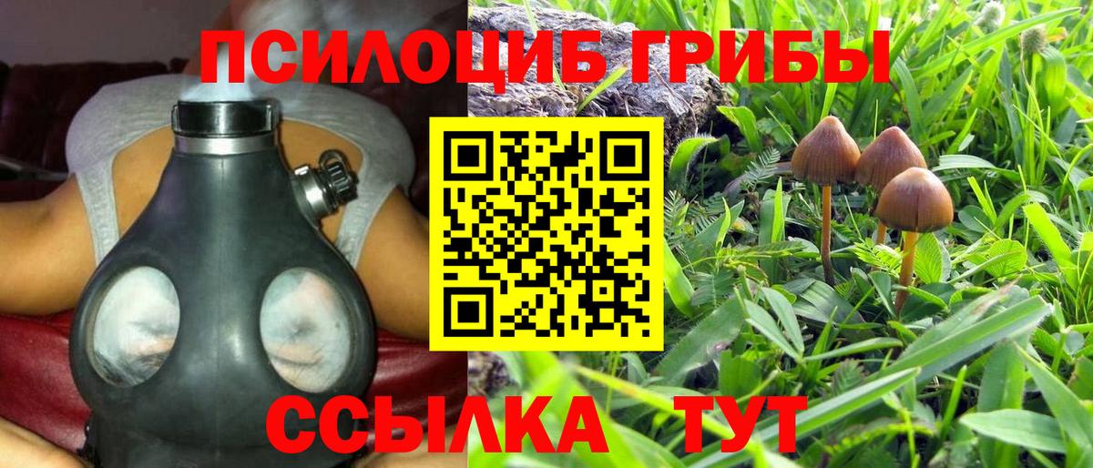 Псилоцибиновые грибы мухоморы Калуга
