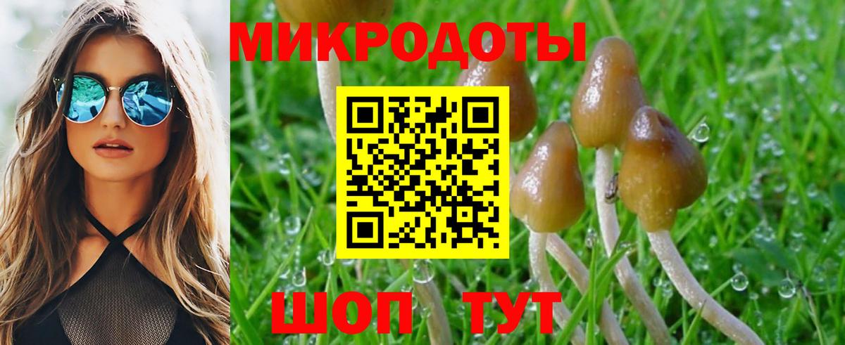 Галлюциногенные грибы Psilocybe  Вход с VPN  Калуга  Галлюциногенные грибы ЛСД 